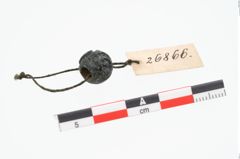 Foto von Glasaugenperle (NHMW-PRAE-026866)